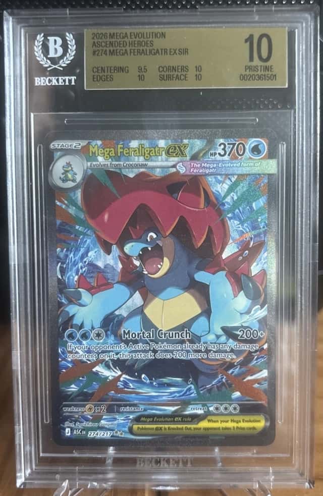 MEGA FERALIGATR ex
