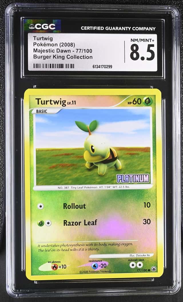 Turtwig