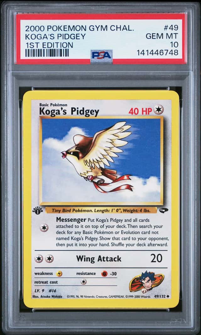 Koga's Pidgey