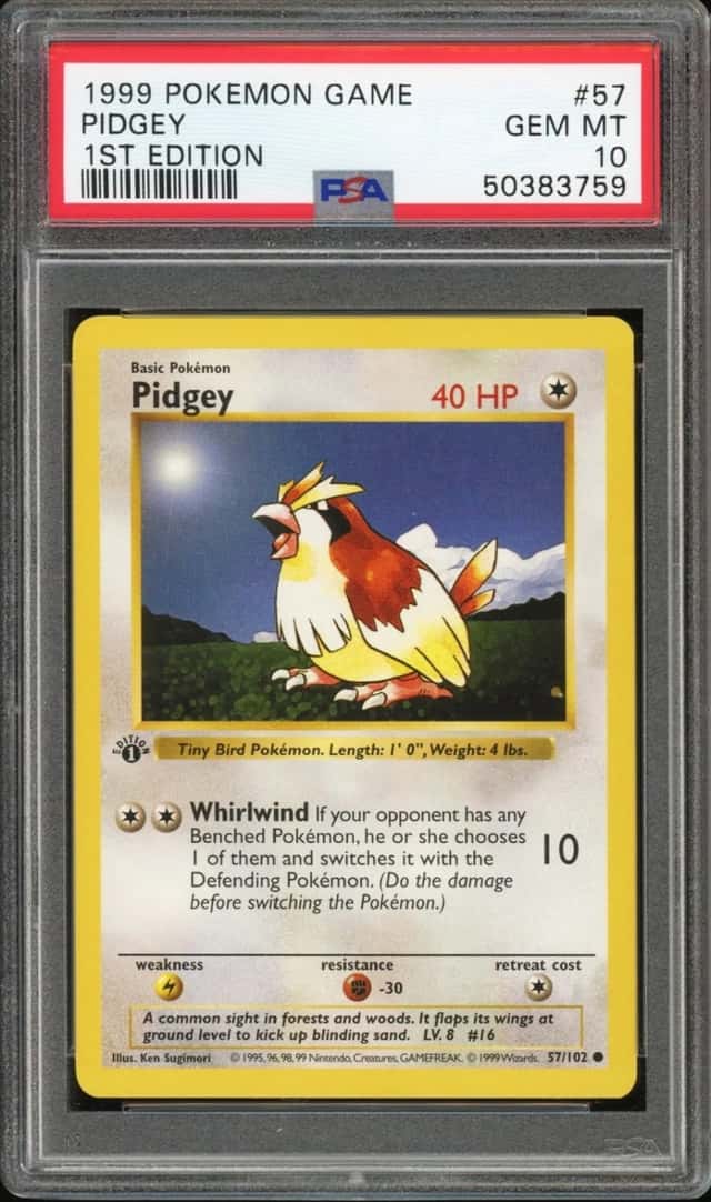 Pidgey