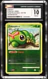 Caterpie