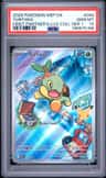 Turtwig