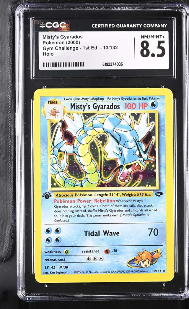 Misty's Gyarados