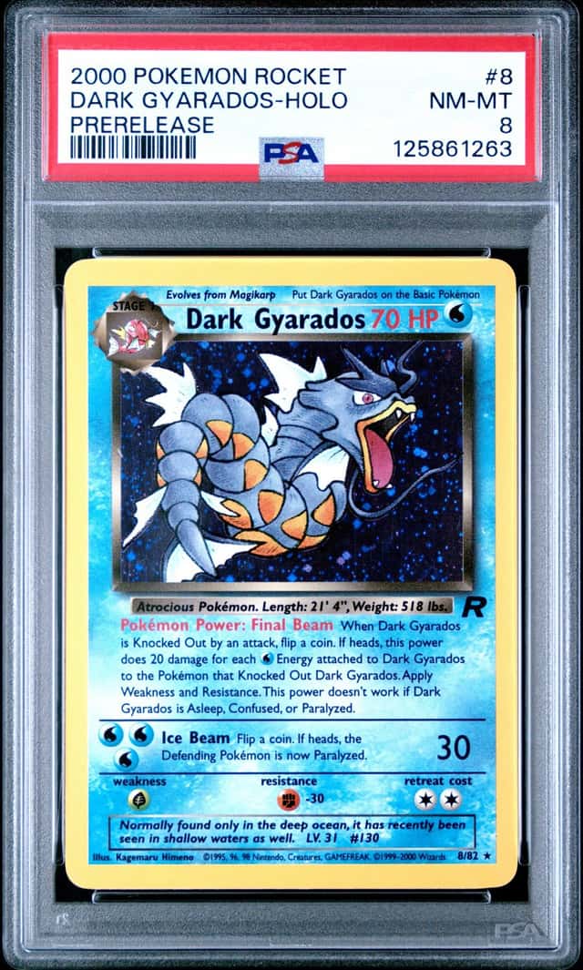 Dark Gyarados