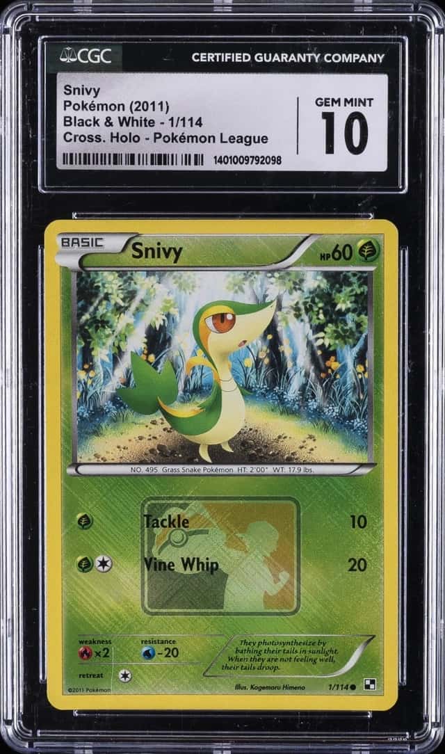 Snivy
