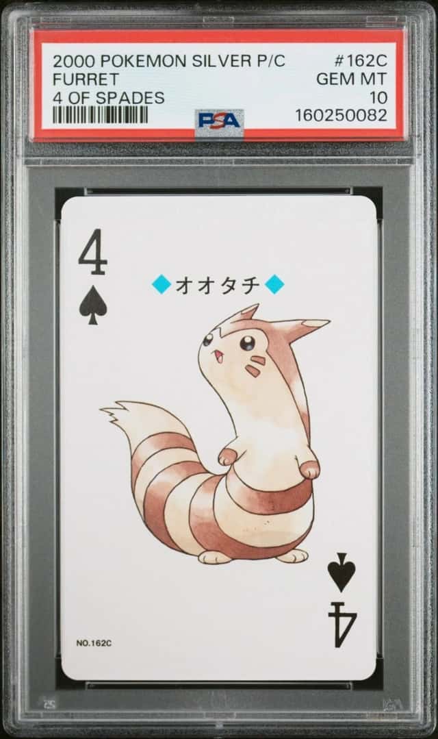 Furret