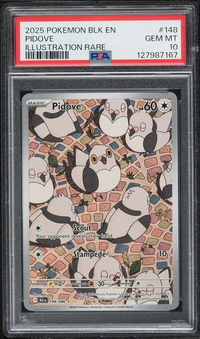 Pidove