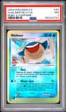 Wailmer