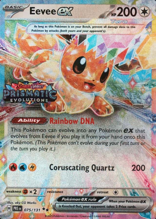 Holo · Box Exclusive Surprise