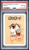 Pidgey