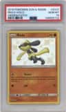 Riolu