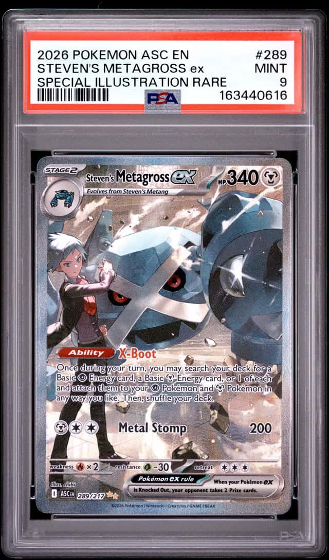 STEVEN'S METAGROSS ex