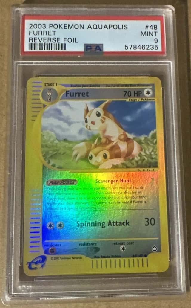 Furret