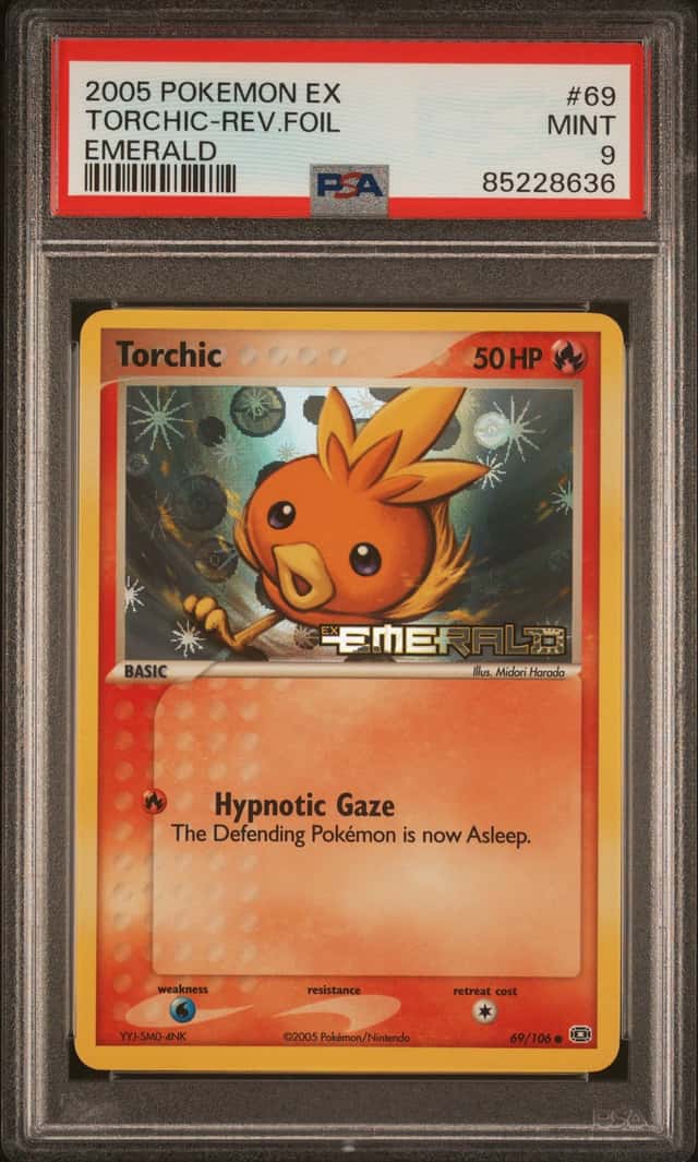 Torchic