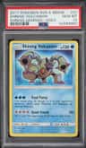 Shining Volcanion