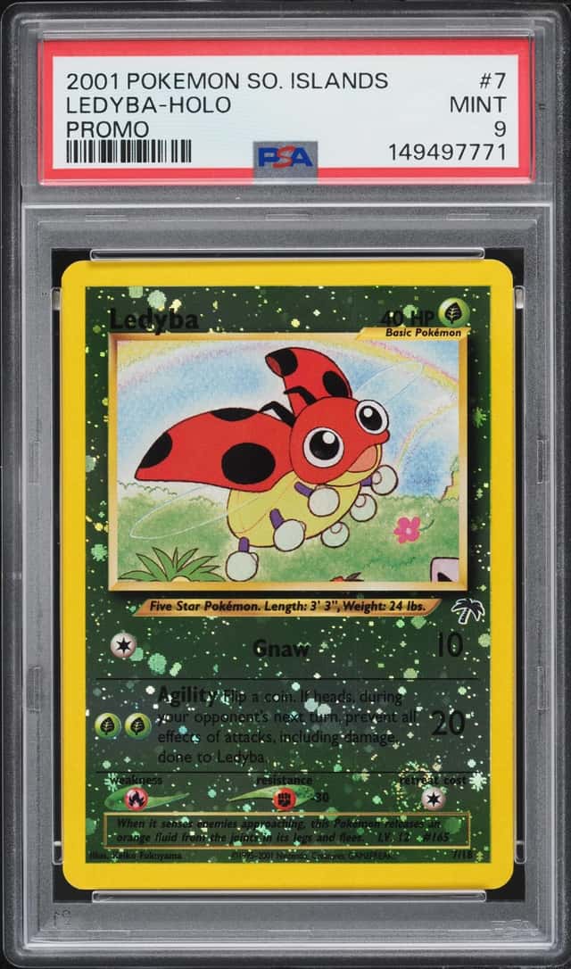 Ledyba