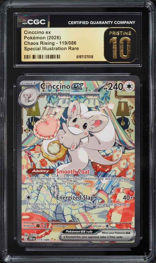 CINCCINO ex