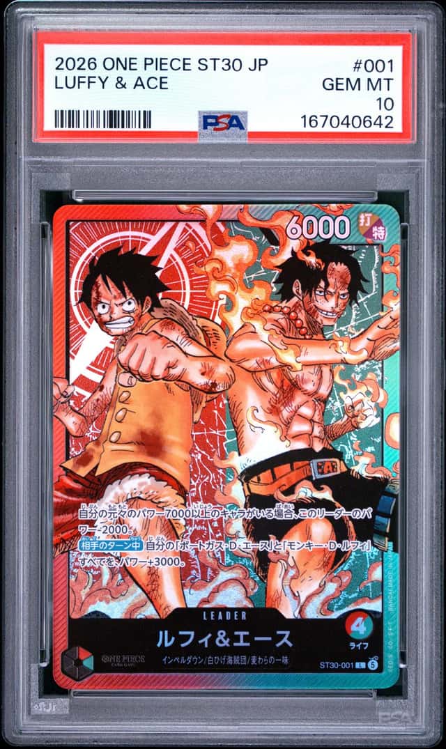 Luffy & Ace