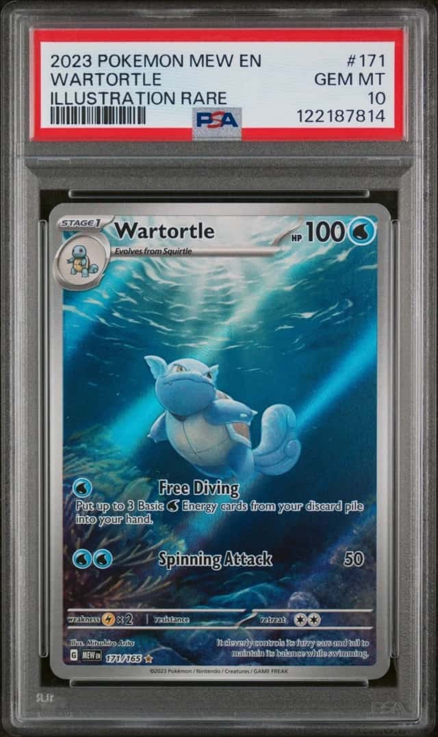 Wartortle
