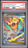 Mega Hawlucha Ex