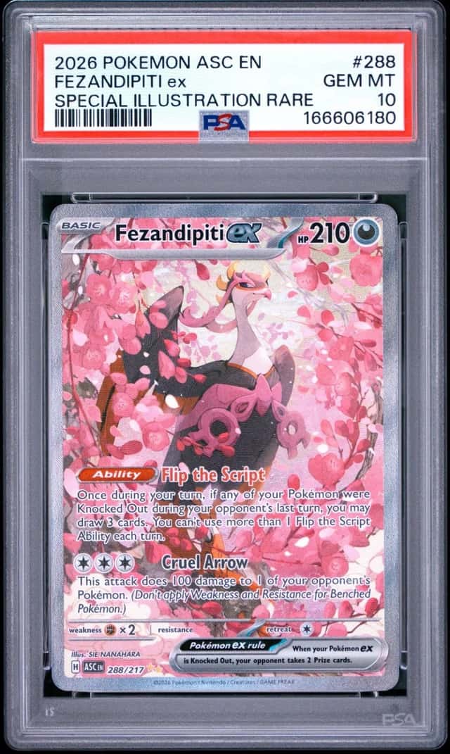 FEZANDIPITI ex