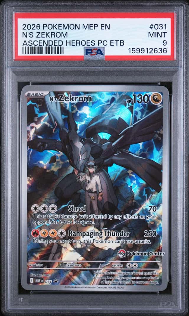 N's Zekrom