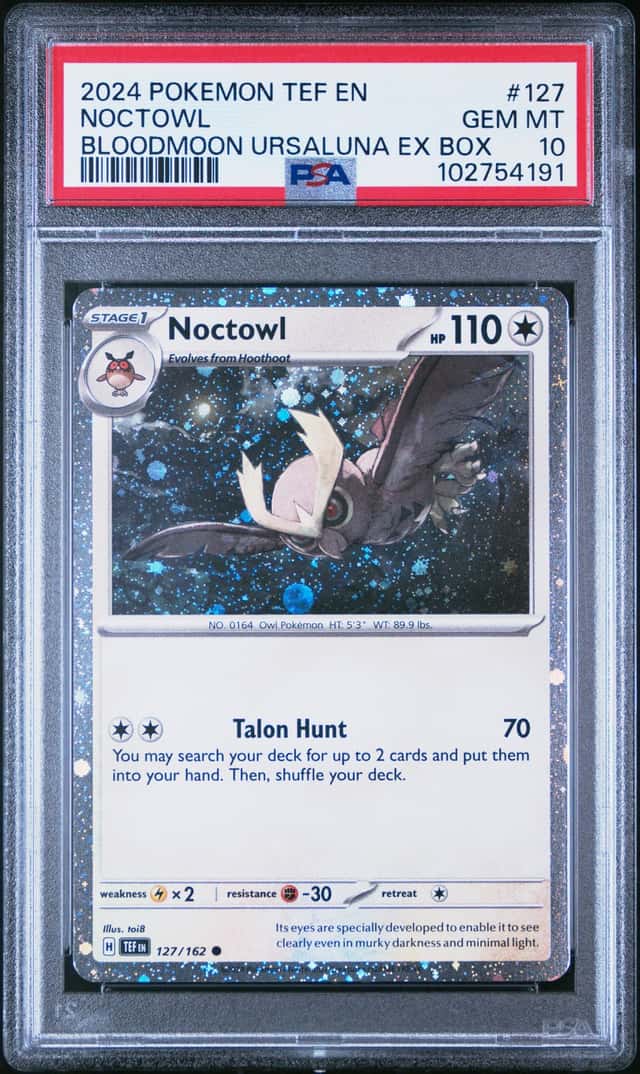 Noctowl