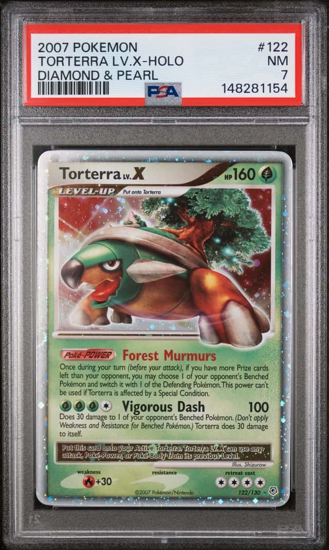 TORTERRA LV.X