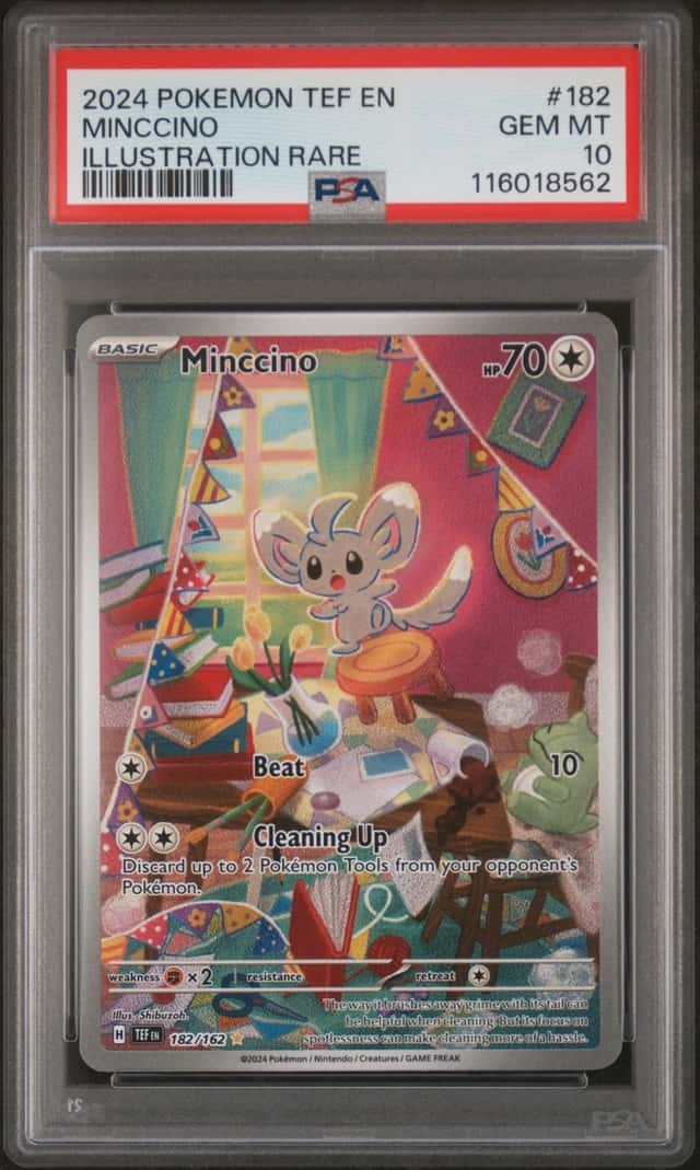 Minccino