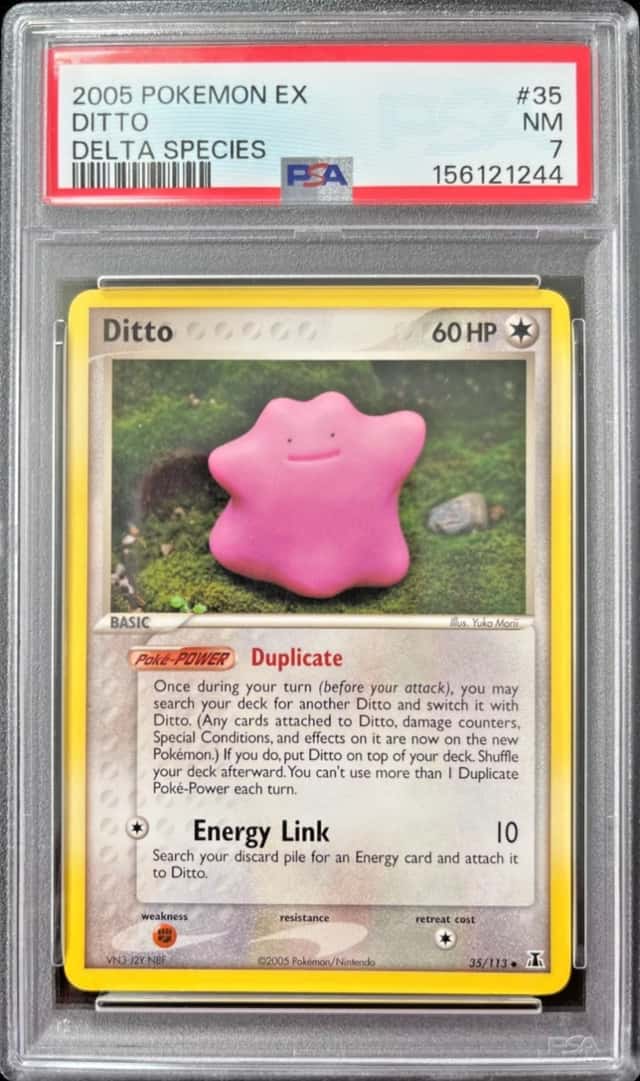 Ditto