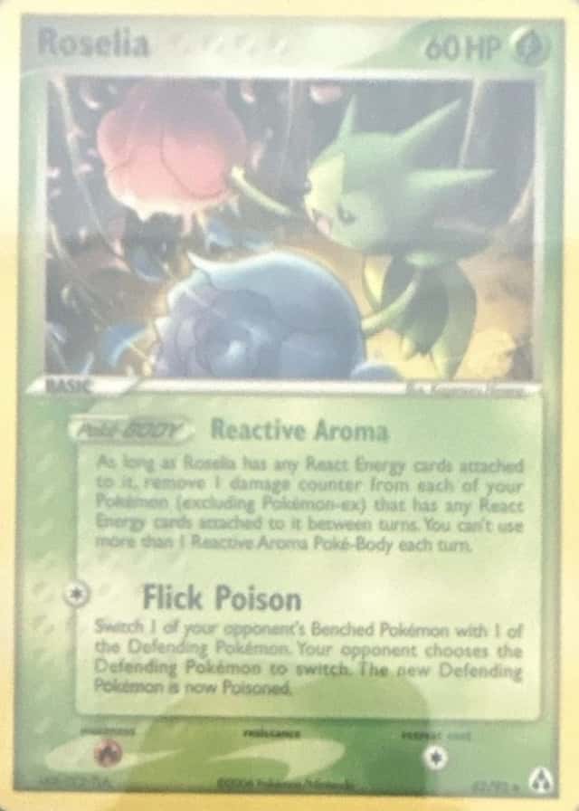 Base / no variant