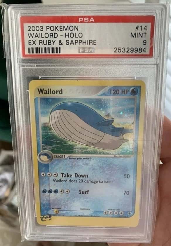 Wailord