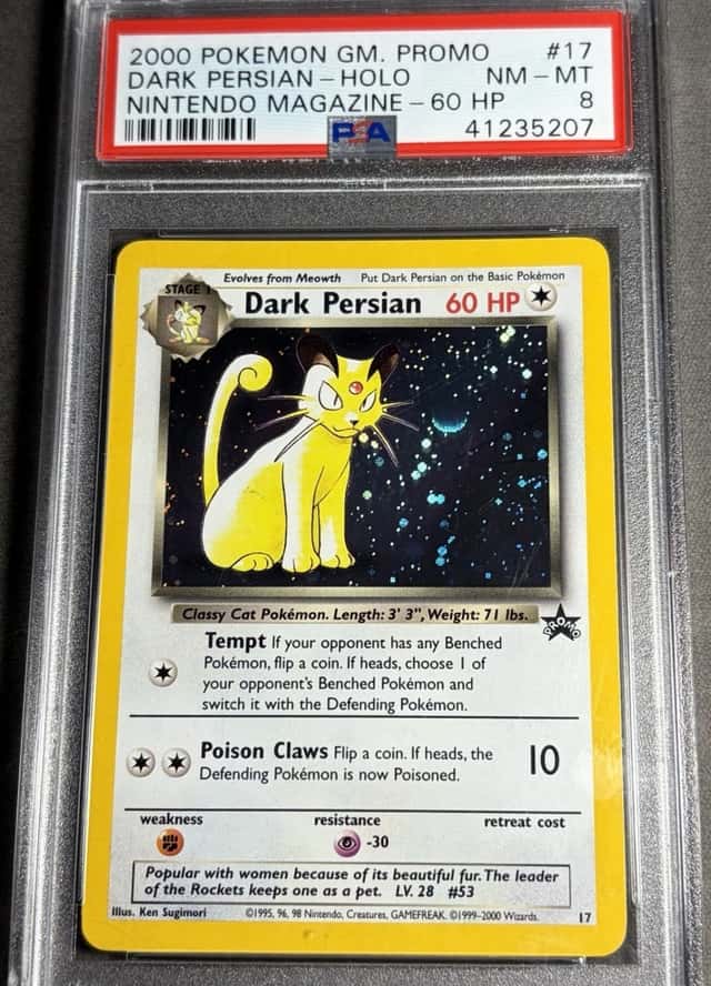 Dark Persian