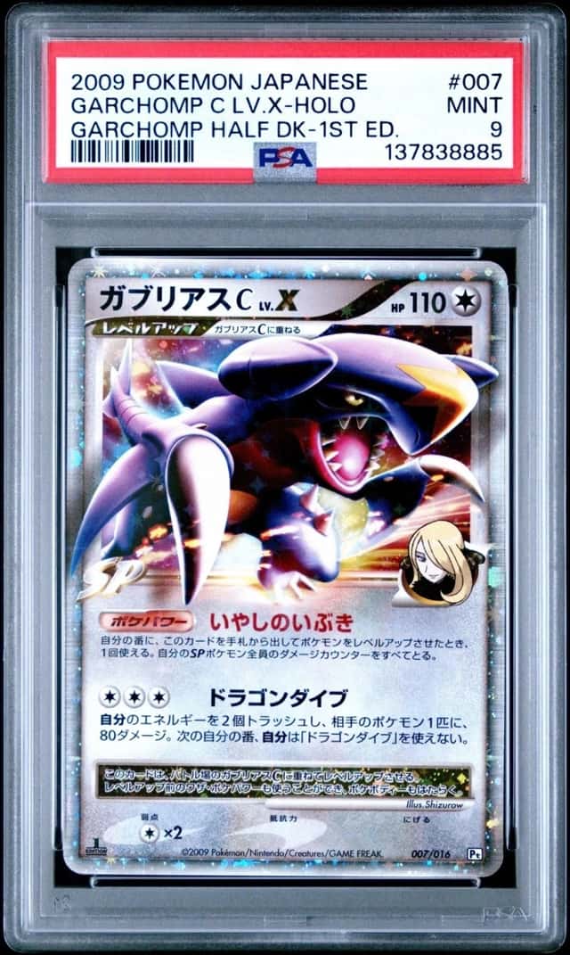 GARCHOMP C LV.X