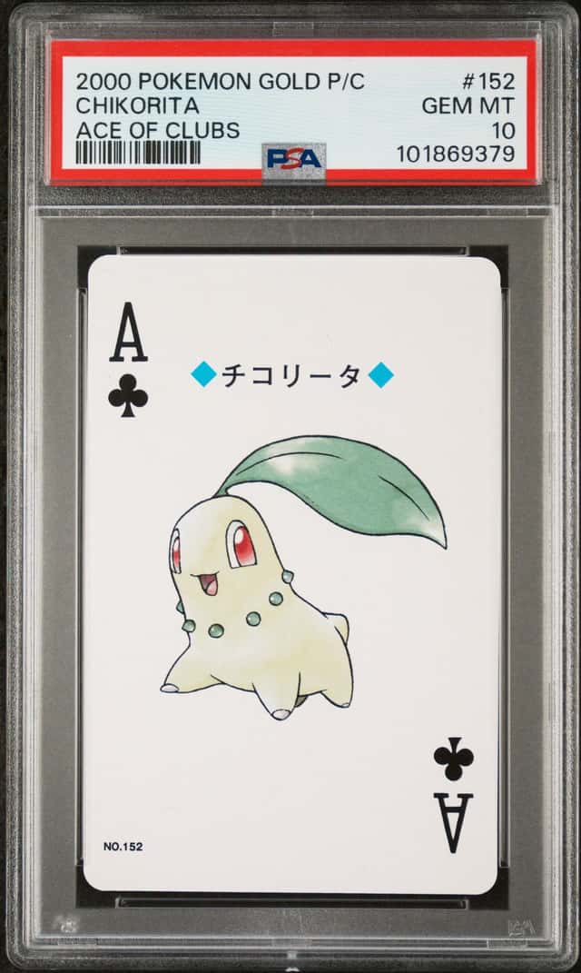 Chikorita