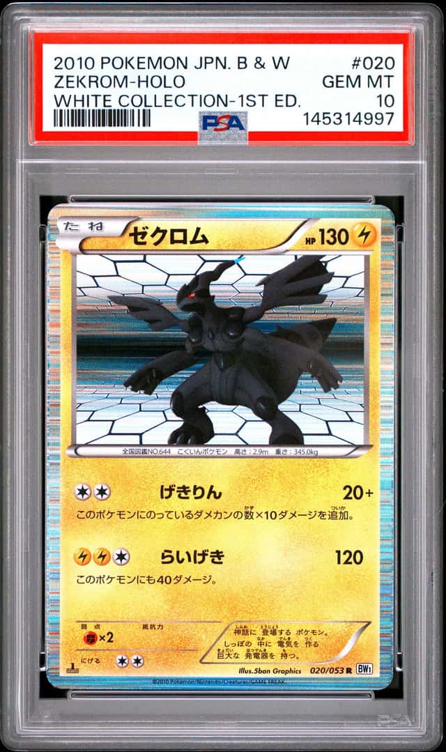 Zekrom