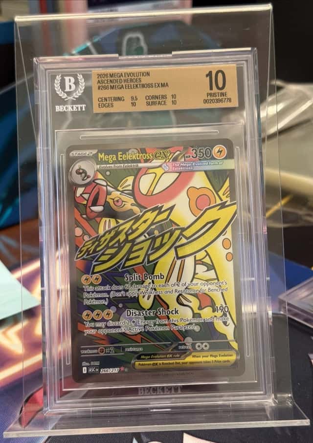 MEGA EELEKTROSS ex
