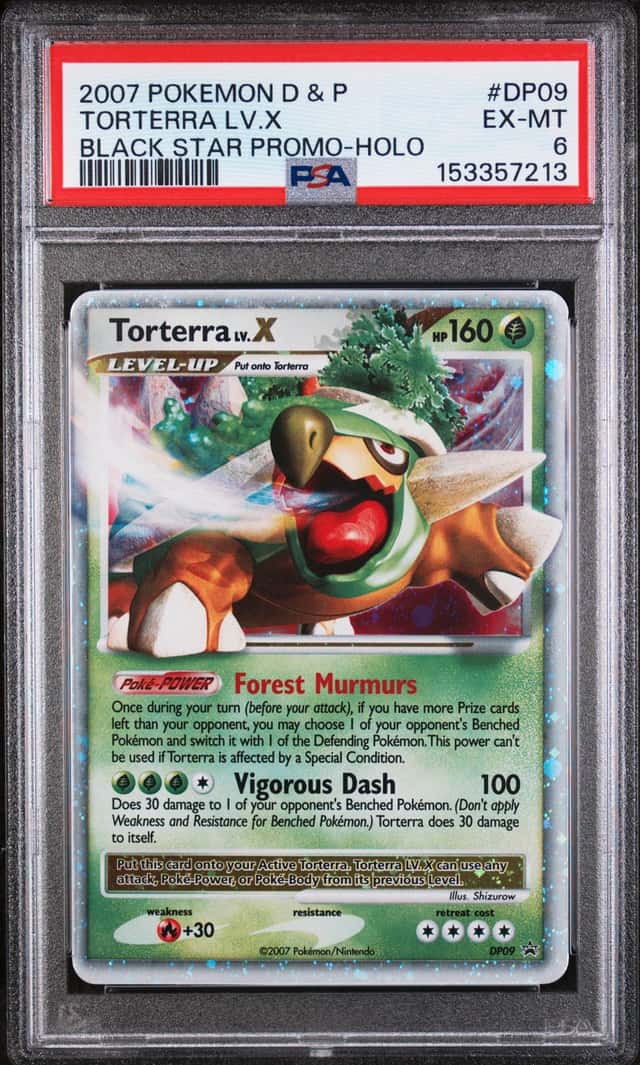 TORTERRA LV.X