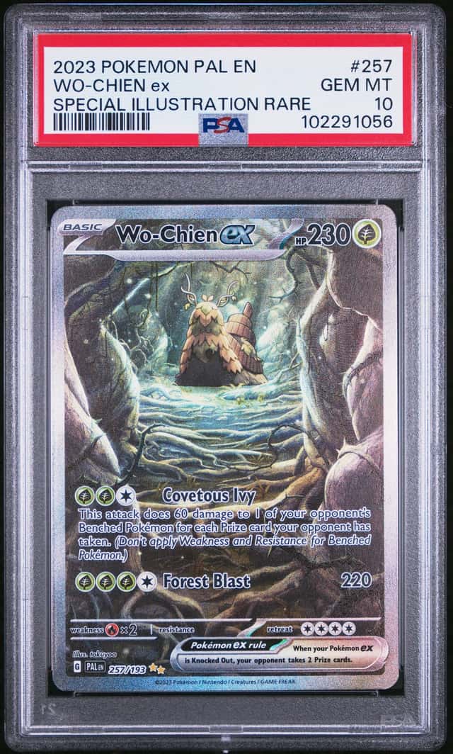 WO-CHIEN ex