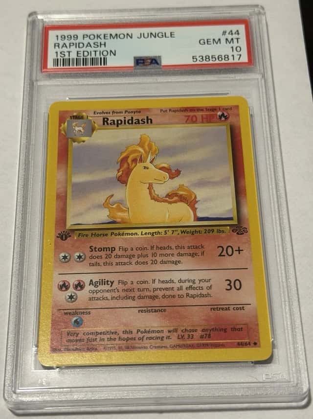 Rapidash