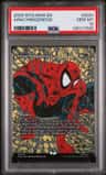 Arachnogenesis