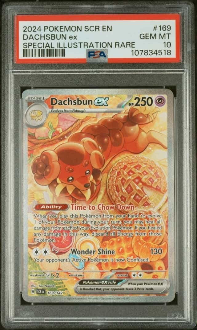 DACHSBUN ex