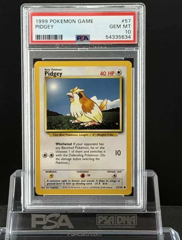 Pidgey