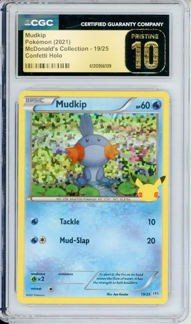 Mudkip
