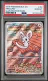 Minccino