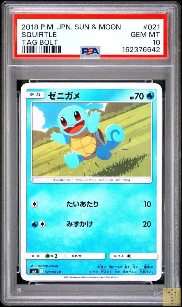 Squirtle