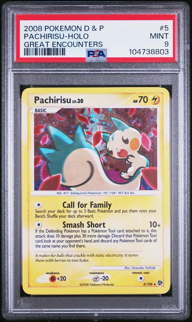 Pachirisu