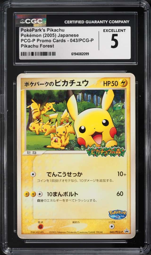 PokePark's Pikachu