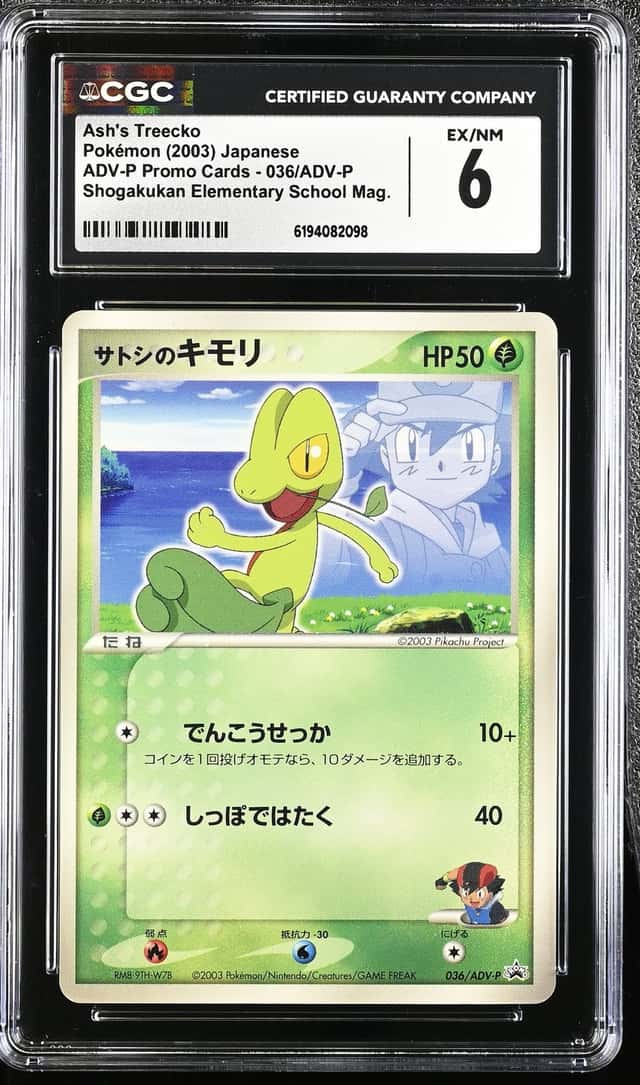 Ash's Treecko