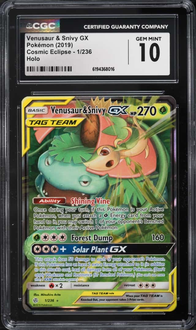 Venusaur & Snivy GX